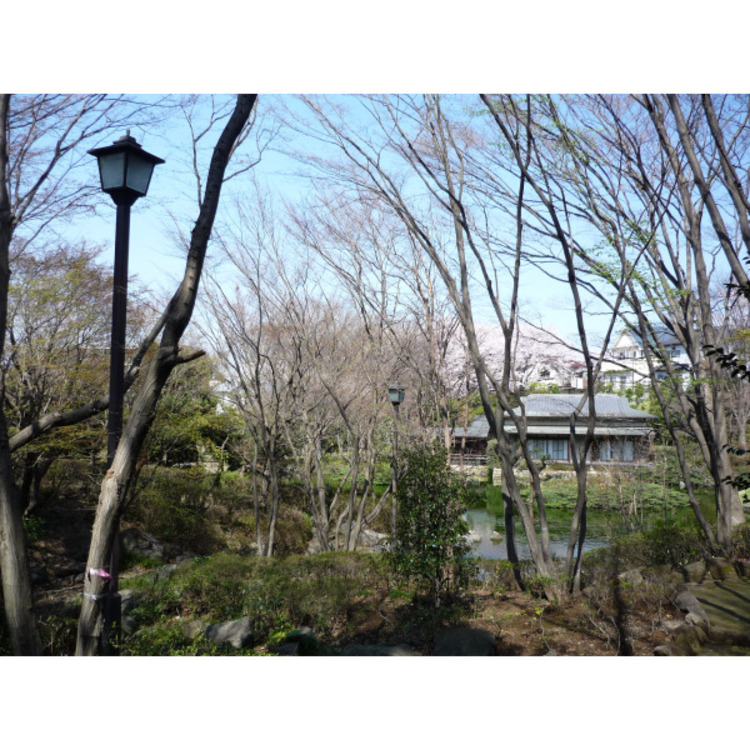 周辺 愛宕公園(約980m)