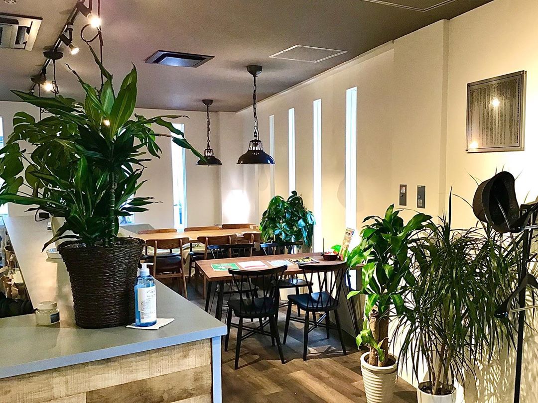 98036742 107763867616564 6321865498032078848 n